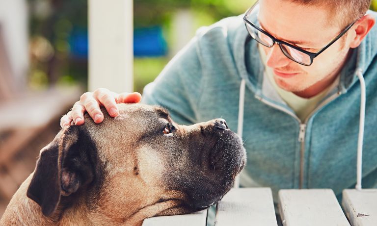 common health problems for dogs